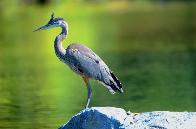 最好玩的京郊旅游(春日打卡京郊最美景点详细攻略)(2)