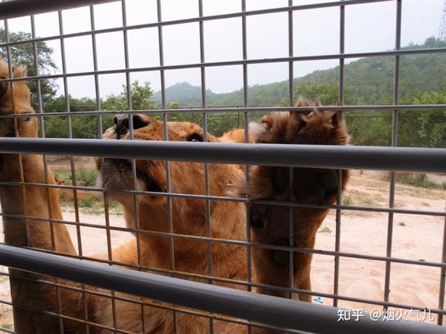 最好玩的京郊旅游(春日打卡京郊最美景点详细攻略)(7)