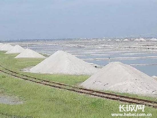 河北省沧州市渤海新区官网(打造河北经济示范区)(3)