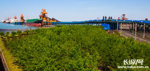 河北省沧州市渤海新区官网(打造河北经济示范区)(1)