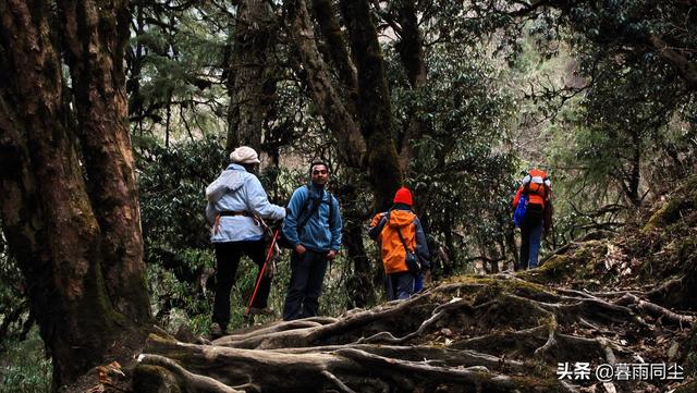 户外徒步露营基础装备(如何便宜买到登山)(3)