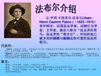 ​法布尔生平简介（法布尔生平介绍）