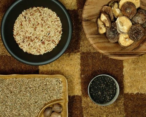 野生何首乌功效（浙江村民挖到千年何首乌）(3)