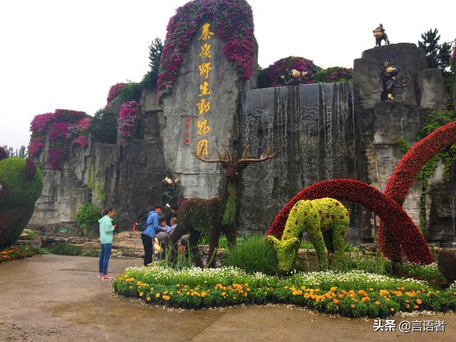 西安旅游必去景点推荐(西安著名景点排名大全)(9)