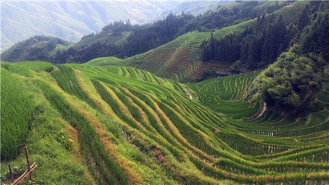 桂林旅行攻略必去景点(国内旅游不能错过的目的地--桂林)(3)