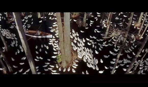 六部撕心裂肺的爱情电影（那些关于苦涩又甜蜜的爱情电影）(18)