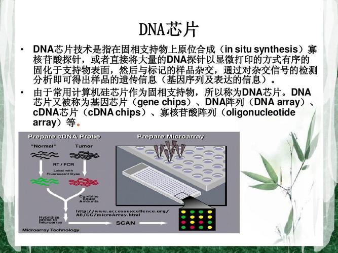 什么是基因芯片(基因芯片简单介绍)