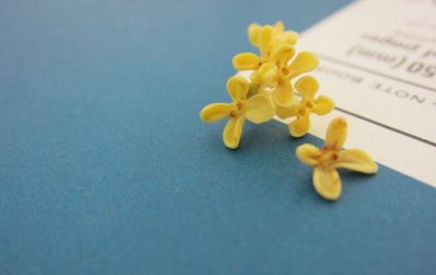 ​桂花对家居环境的影响-桂花的介绍