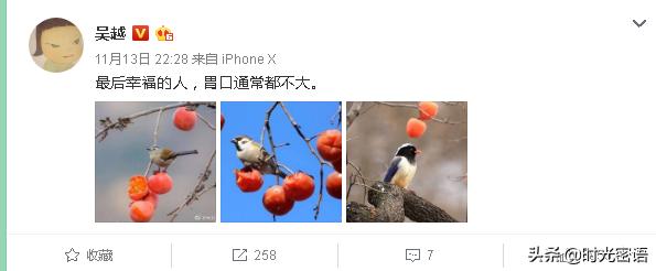 吴越扮演的古代电视剧有哪些（吴越饰演太子妃不是最惊艳却是最舒服）(19)