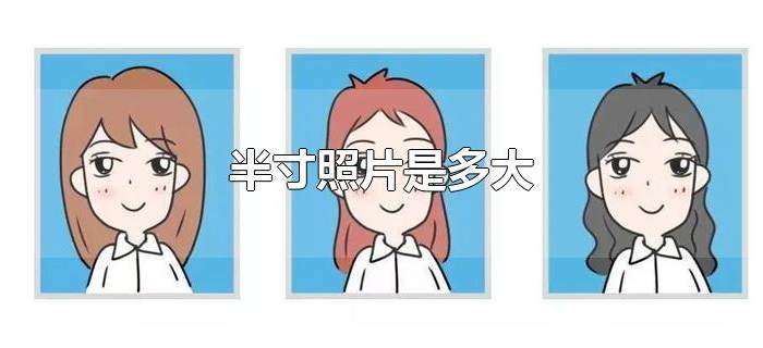 半寸照片是多大 半寸照片是多大