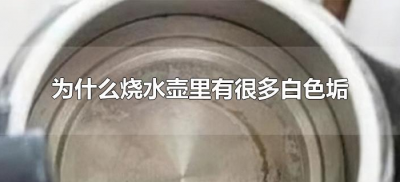 ​为什么烧水壶里有很多白色垢（烧水壶里面为什么有白色的垢）