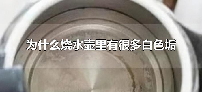 为什么烧水壶里有很多白色垢 为什么烧水壶里有很多白色垢