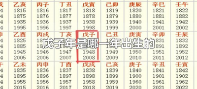 ​戊子年是哪一年出生的（农历戊子年是哪一年）