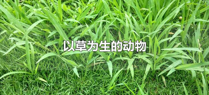 以草为生的动物 以草为生的动物