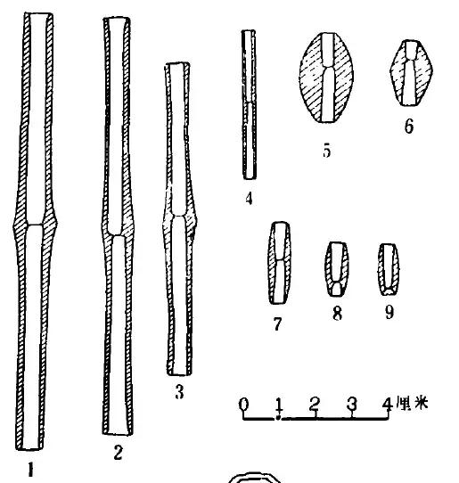 世界上最珍贵的琥珀有哪几种(琥珀在历史长河中留下了哪些痕迹)(11)