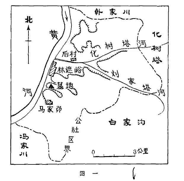 世界上最珍贵的琥珀有哪几种(琥珀在历史长河中留下了哪些痕迹)(4)