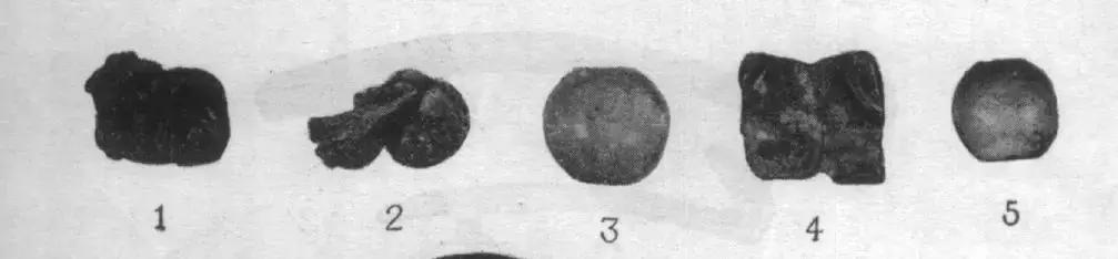 世界上最珍贵的琥珀有哪几种(琥珀在历史长河中留下了哪些痕迹)(8)