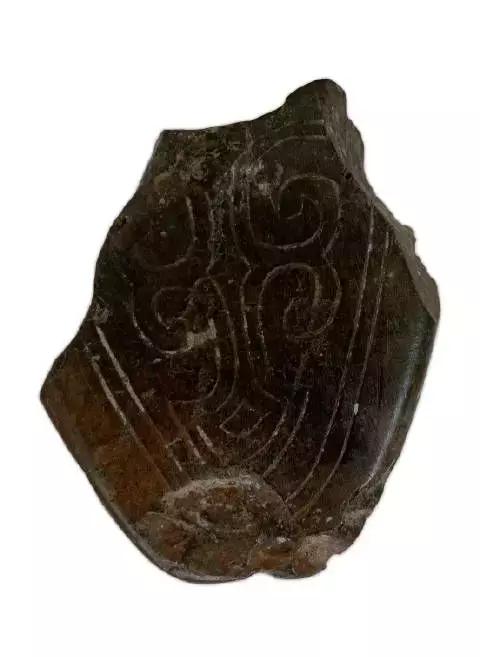 世界上最珍贵的琥珀有哪几种(琥珀在历史长河中留下了哪些痕迹)(3)