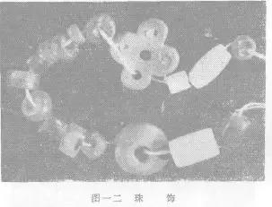 世界上最珍贵的琥珀有哪几种(琥珀在历史长河中留下了哪些痕迹)(5)