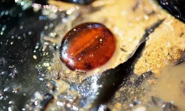 世界上最珍贵的琥珀有哪几种(琥珀在历史长河中留下了哪些痕迹)(1)