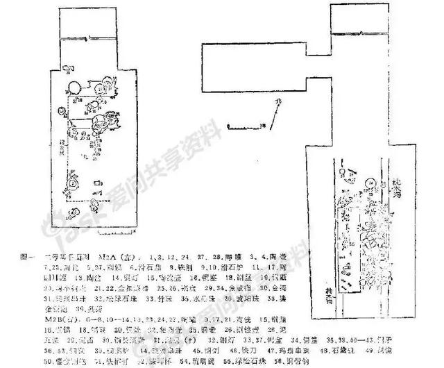 世界上最珍贵的琥珀有哪几种(琥珀在历史长河中留下了哪些痕迹)(15)