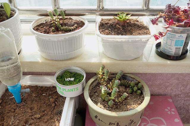 废旧物品变废为宝方法(手把手教你改造16个日常闲置物品)(7)