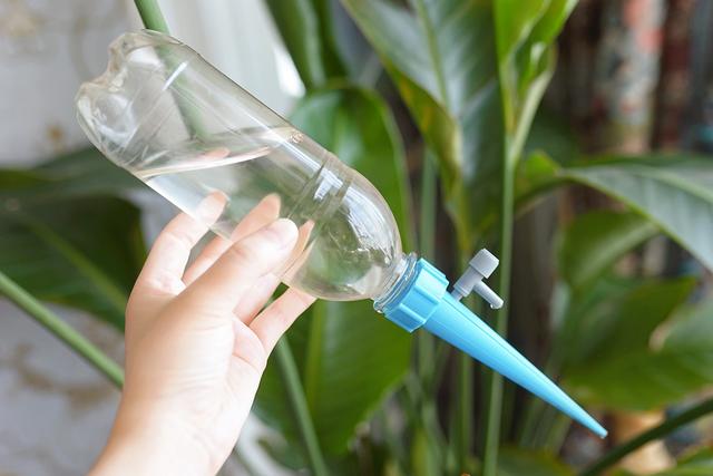 废旧物品变废为宝方法(手把手教你改造16个日常闲置物品)(46)