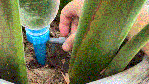 废旧物品变废为宝方法(手把手教你改造16个日常闲置物品)(47)