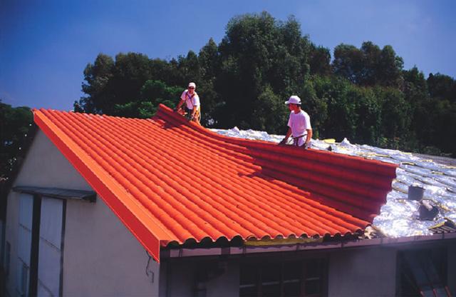 建房用红瓦好还是蓝瓦好看(农村小红顶曾风靡一时)(16)