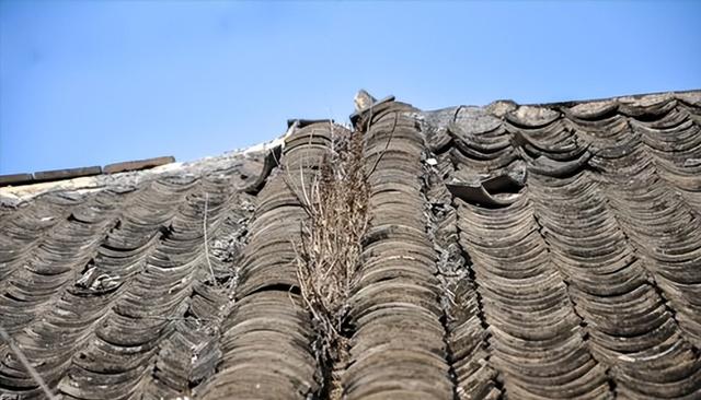 建房用红瓦好还是蓝瓦好看(农村小红顶曾风靡一时)(22)