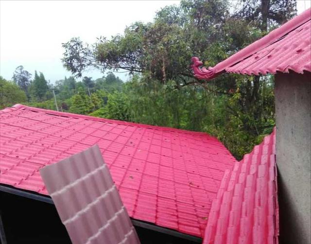 建房用红瓦好还是蓝瓦好看(农村小红顶曾风靡一时)(12)