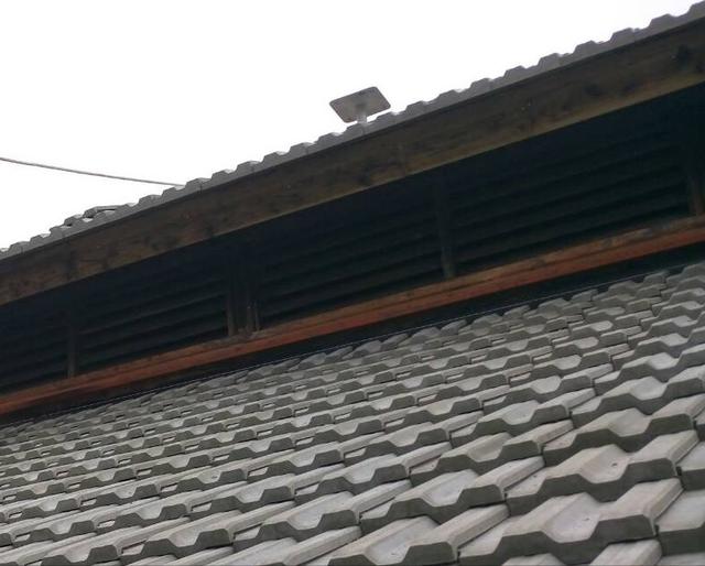 建房用红瓦好还是蓝瓦好看(农村小红顶曾风靡一时)(53)