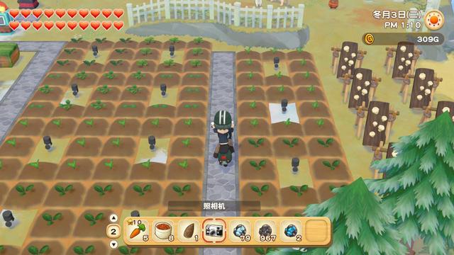 橄榄镇与希望的大地 更新(橄榄镇与希望的大地评测)(16)