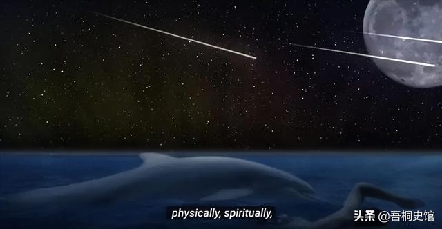 粉色海豚物种(跨物种的人豚恋)(16)