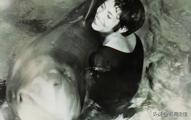 粉色海豚物种(跨物种的人豚恋)(27)