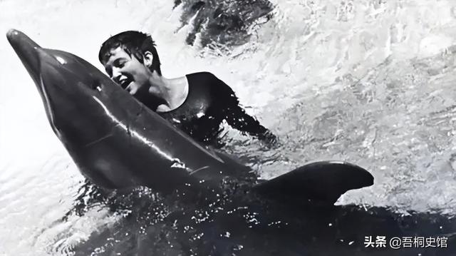 粉色海豚物种(跨物种的人豚恋)(23)