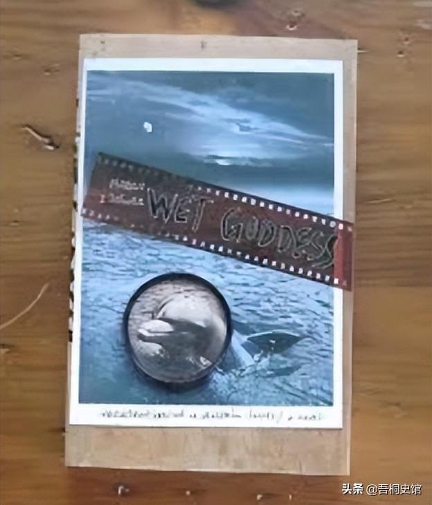 粉色海豚物种(跨物种的人豚恋)(19)