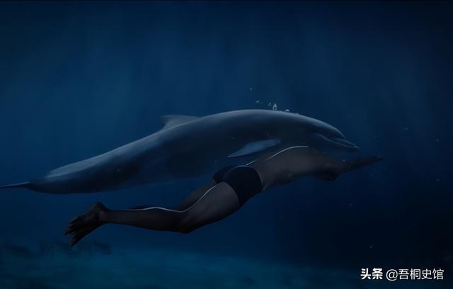 粉色海豚物种(跨物种的人豚恋)(10)