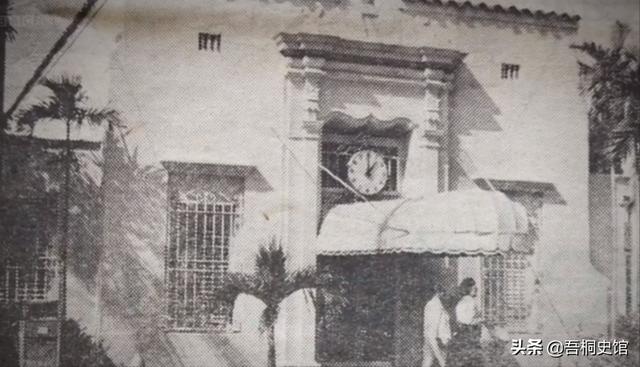 粉色海豚物种(跨物种的人豚恋)(31)