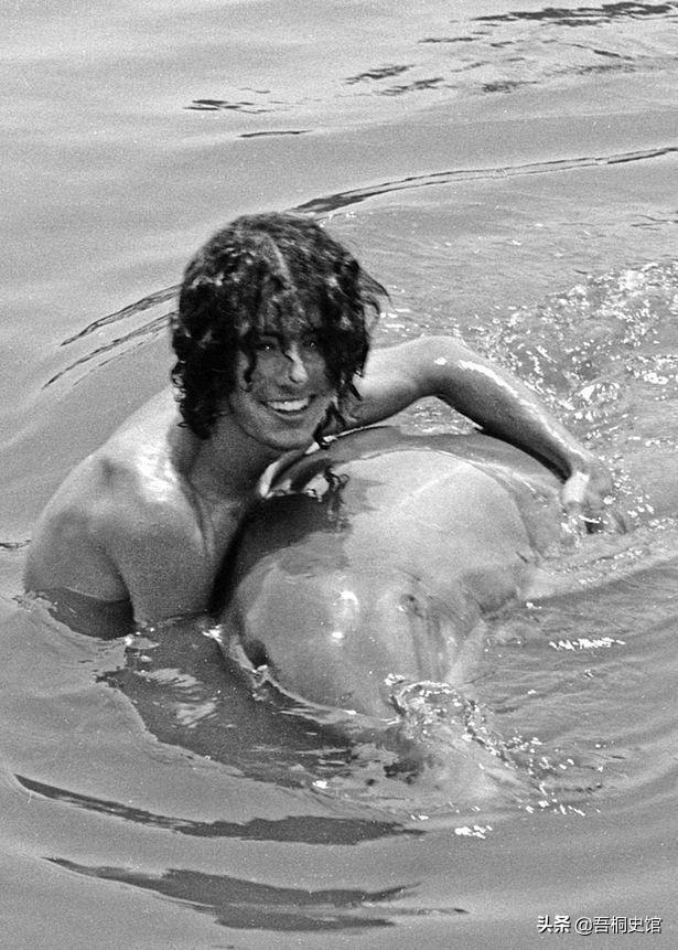 粉色海豚物种(跨物种的人豚恋)(3)