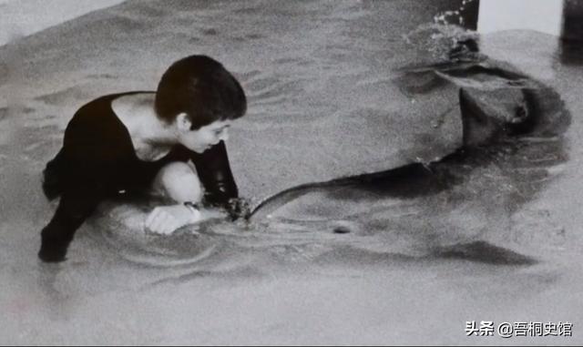 粉色海豚物种(跨物种的人豚恋)(29)