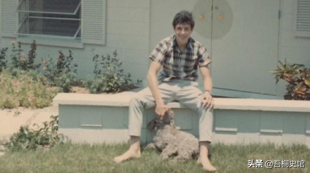 粉色海豚物种(跨物种的人豚恋)(13)