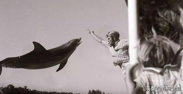 粉色海豚物种(跨物种的人豚恋)(2)