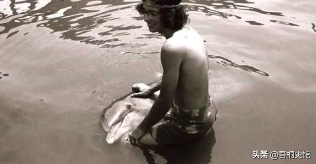 粉色海豚物种(跨物种的人豚恋)(8)