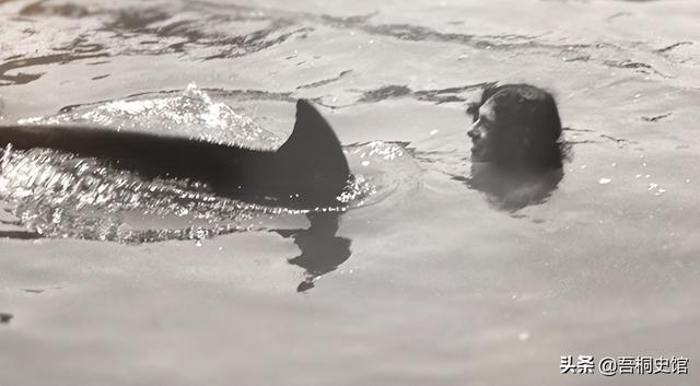 粉色海豚物种(跨物种的人豚恋)(11)