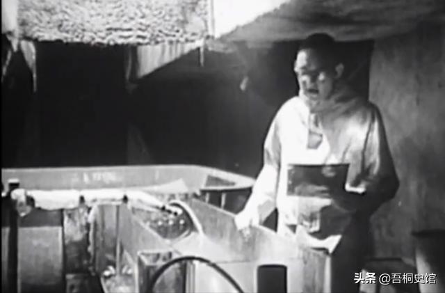 粉色海豚物种(跨物种的人豚恋)(34)