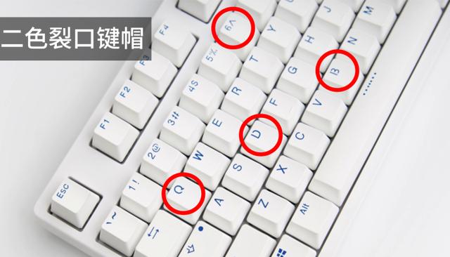 机械键盘各大轴体区别(机械键盘科普入门看轴体)(16)