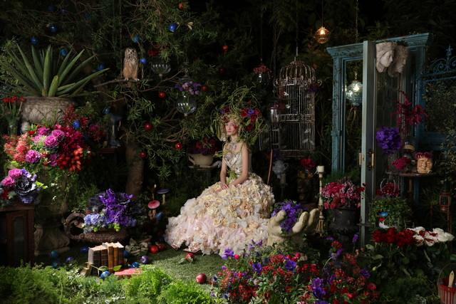 佳能最顶级的单反相机(摄影发烧友首选)(22)