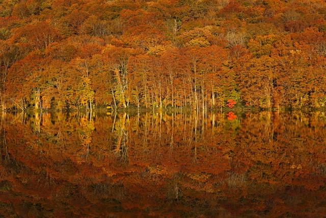 佳能最顶级的单反相机(摄影发烧友首选)(28)