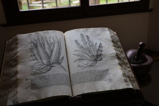 佳能最顶级的单反相机(摄影发烧友首选)(20)